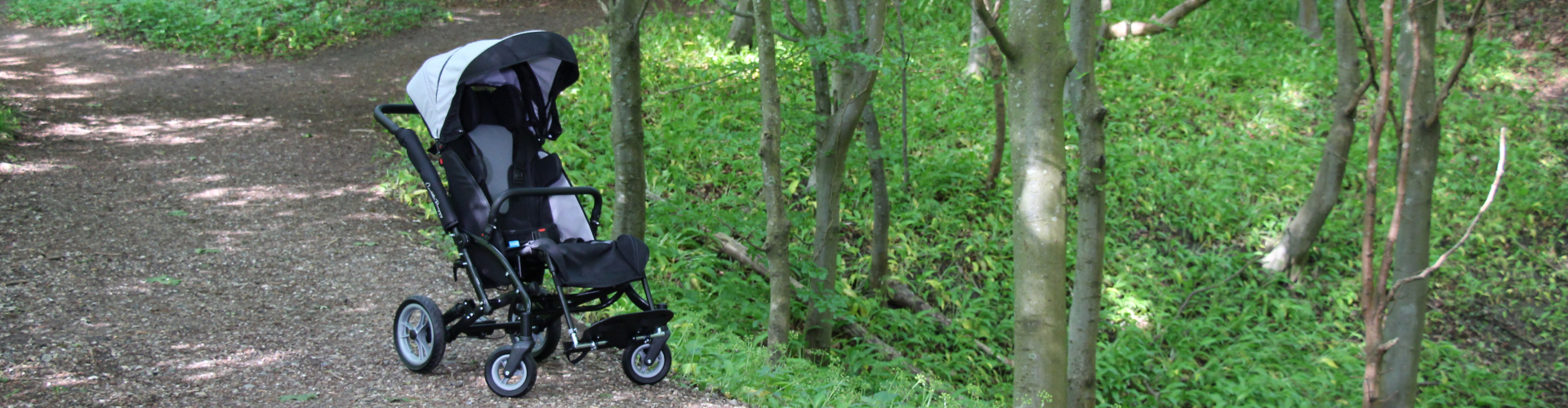 Caretta Buggy